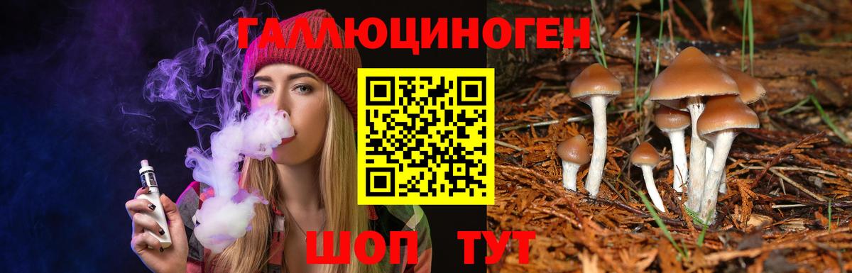 Галлюциногенные грибы Psilocybe Асбест