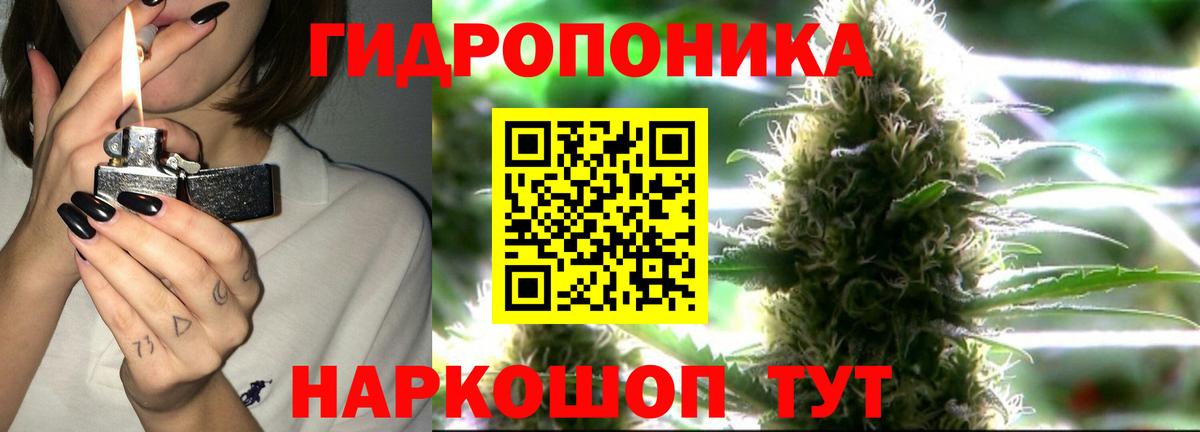 Бошки Шишки ГИДРОПОН  Вход с VPN  Асбест  Шишки марихуана MAZAR  Конопля MAZAR 